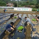 큰사랑농장 네이버블로그