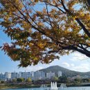 성산공원 이미지