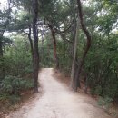 산책길 이미지