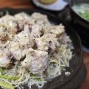 용궁복어 이미지