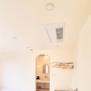 멍쿠실낭 이미지