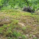 부운농장 이미지