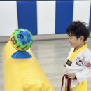 화남 태권도 이미지