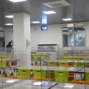 분당중학교 이미지