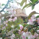 남촌농장 이미지