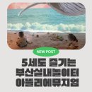 통아트 - 4850 | 부산실내놀이터 용호동키즈카페 아뜰리에뮤지엄 모래놀이 미디어아트 5세 후기