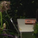 혜린농장 이미지