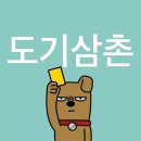 도기하우스 애견 유치원 호텔 울산 대형견 | 도기하우스 위치, 리뷰, 반려견놀이터, 울산, 자연유치원