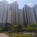 서구-01-80 이미지