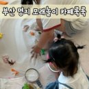 카페룩룩 이미지
