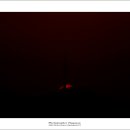 숲나루공원 이미지