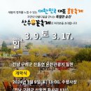 금왕수님 구례 산수유 축제 일정 이미지