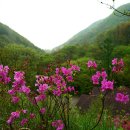 운장산자연휴양림 이미지