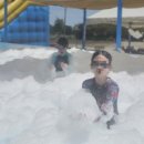 공룡고기&새우 이미지