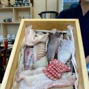 성균관스시 이미지