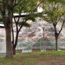 동탄센트럴파크 게이트볼장 이미지