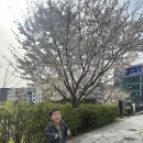 느티나무어린이집 | 경기도 일산 / 고양특례시육아종합지원센터 놀놀놀 프로그램 후기