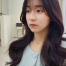 디룸 이미지