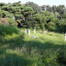 이여발묘 이미지