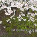 워커힐떡볶이