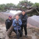 백양 메리야스 이미지