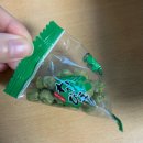 와사비사진관 이미지