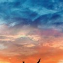 MIND-내일의 꿈 이미지