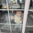 샤르망펜션 | [공지] [강화도스파펜션]쁘띠펜션 야외수영장+제트스파 샤르망객실 후기