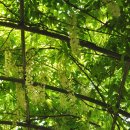 밀양댐생태공원 이미지