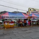 화순꾸지뽕 네이버블로그