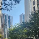 김유미공인중개사사무소 이미지