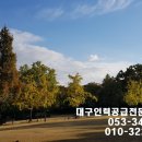 탑소개소 네이버블로그