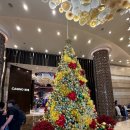 호텔드살롱(Hotel De Salon) | [필리핀 여행] 마닐라 5성급 호텔 하얏트 시티오브드림즈 마닐라 방문 후기