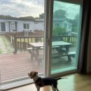 고성2119 이미지