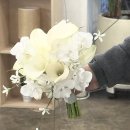 주례오토바이 | [공지] ｡꙳ ✿⃣ ͙ࣳ 가성비 본식부케 스윗아워 계약후기 (짝궁코드 2명)