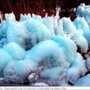 금원산 자연휴양림 이미지