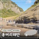 늘푸른충전소 | 제주 산방산 용머리해안 물때 소요시간 아기랑 다녀온 후기