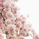 온누리세차장 이미지