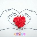 전박사 Daum카페