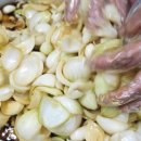 소랑버섯