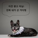 수창초등학교 | 야장분위기에 안주 맛까지 제대로인 술집 대구 포차IC 내돈내산 후기