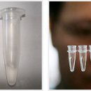 씨알목장 이미지