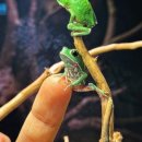 구로-구로-구로-1225 이미지