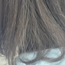 오일 | 미용실헤어에센스추천 블라세아 아르간오일 후기｜손상모 윤기 케어