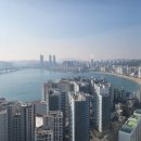 테넌바움294 이미지