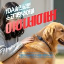 양수하나로약국