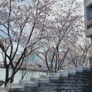 듀잇 - 영천시 언하공단로 91-14 | 듀잇