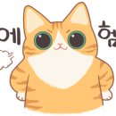이가네고쌈냉면 이미지