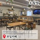 경남밀양맛집 무인카페 공간대여 가능한 용평동 부일카페