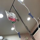 김동균이비인후과의원 | 부산 해운대구 이명 전문 병원 List 추천 6곳